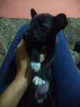 Ainda não tem
