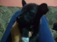Ainda não tem