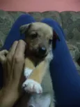 Ainda não tem