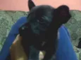 Ainda não tem
