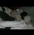Não tem 
