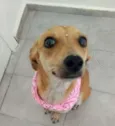 Lua