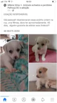 Não sei