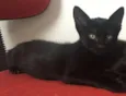 Rutinha