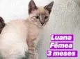 Luana