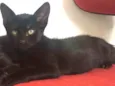 Rutinha