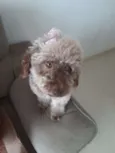 Mel