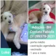 Luke