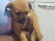 Scooby