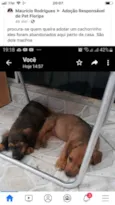 Não sei