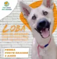 LÔBA