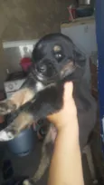Glorinha