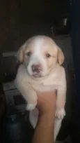 Glorinha