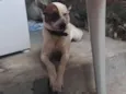 Luci e Fred
