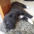 Não ei