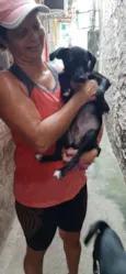 Carvão 