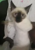 Não sei