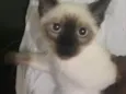 Não sei