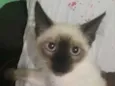 Não sei