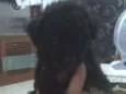 Sem nome