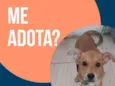 sem nome