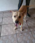 Bruce