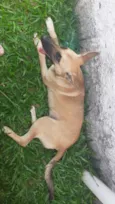Athila