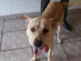 Bruce