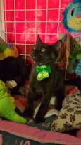 Tom
