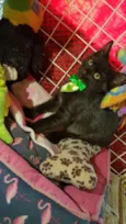 Tom
