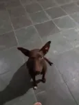 Não sei