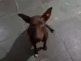 Não sei