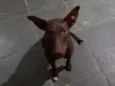 Não sei
