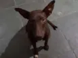 Não sei