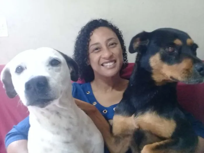 Cachorro ra a Mestiços  idade 3 anos nome Nina/july