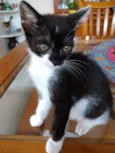 Ming Linda Bebe