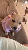 Belinha