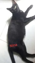 Nina