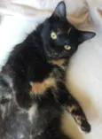 SOL