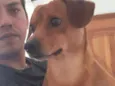Loky