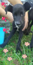 Luna e lila