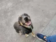 Nina