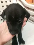 Billy