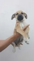 Bartô