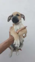 Bartô