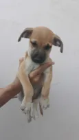 Bartô