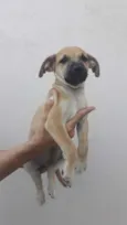 Bartô