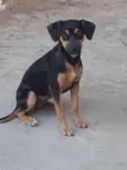 Nina