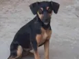Nina
