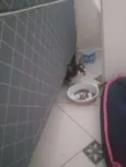 Chamo ela de (luna)